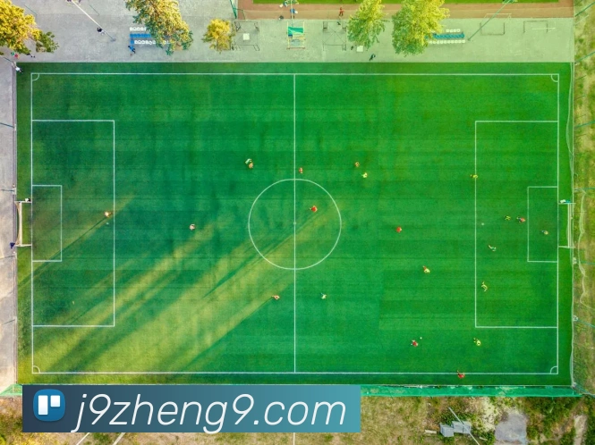 奖项证书